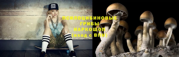 гидропоника Алексеевка