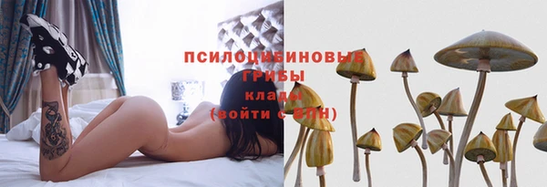 сатива Абинск