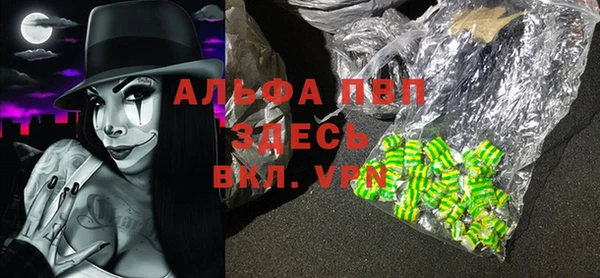 сатива Абинск