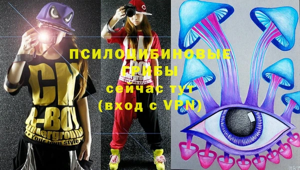 гидропоника Алексеевка