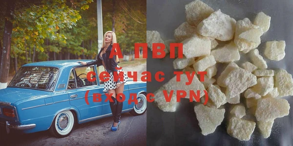 сатива Абинск