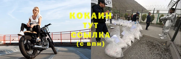 сатива Абинск