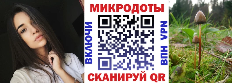 Псилоцибиновые грибы Psilocybine cubensis Беломорск